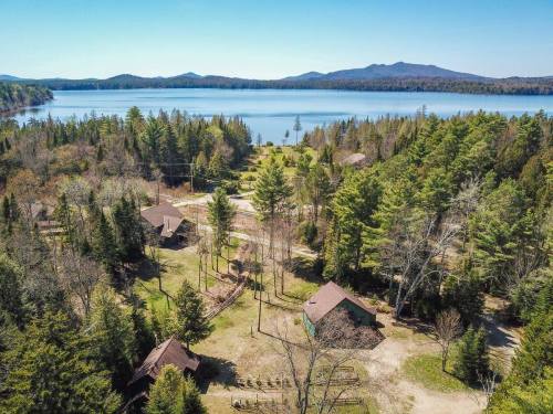 Aerial view of a serene lake surrounded by trees and cabins, with mountains in the background under a clear blue sky.