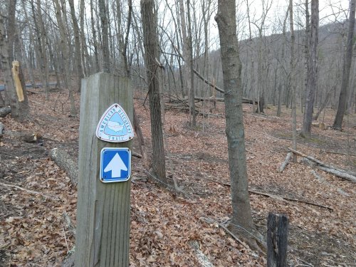 Trail markers on a wooden post in a leaf-covered forest, indicating the direction of the trail ahead.