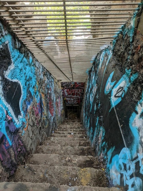 A narrow, graffiti-covered staircase leading down into a dimly lit space.