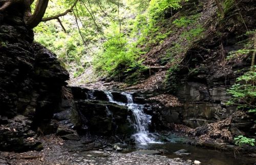 A serene waterfall cascades over rocks in a lush, green forested canyon.