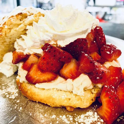 A close-up of a biscuit topped with whipped cream and fresh strawberries, dusted with powdered sugar.