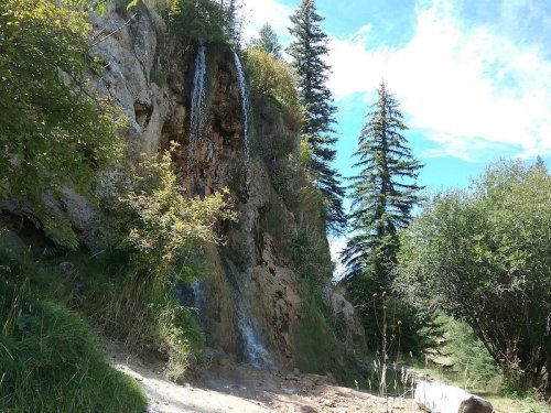 A serene waterfall cascading down a rocky cliff, surrounded by lush greenery and tall pine trees under a blue sky.