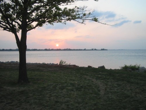 A serene lakeside view at sunset, with a tree silhouetted against the colorful sky and calm water.
