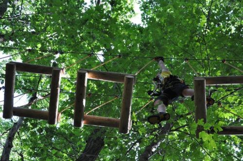 A person climbs a rope course high among green trees, navigating wooden obstacles above.