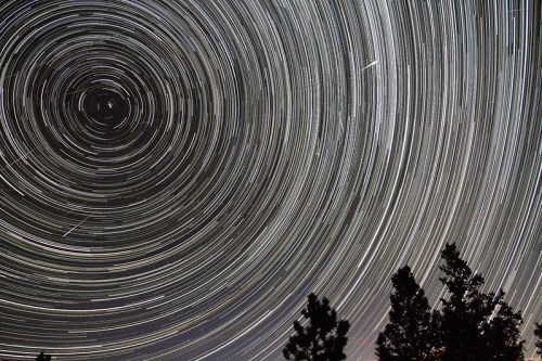A long-exposure photo of star trails forming circular patterns in the night sky, with silhouetted trees in the foreground.