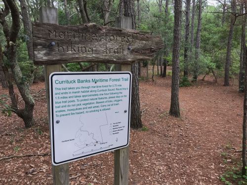 Sign for Currituck Banks Maritime Forest Trail, detailing trail length and wildlife precautions in a wooded area.