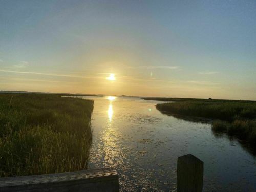 A serene sunset over a calm waterway, reflecting golden light, surrounded by lush greenery and gentle marshland.