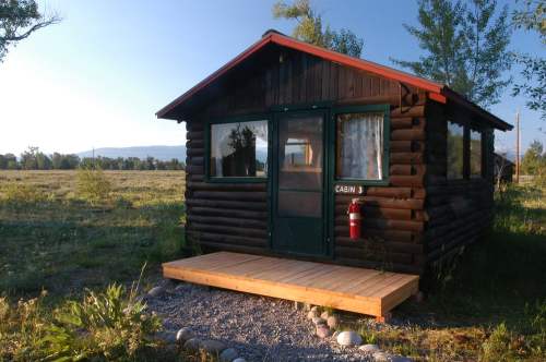 A rustic log cabin with a green door and red roof, surrounded by grass and trees under a clear blue sky.