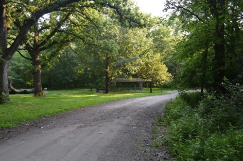 A dirt path leads through a green park with trees and a gazebo in the distance, bathed in soft sunlight.