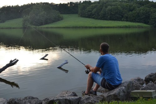 A person sits on rocks by a calm lake, fishing with a rod, surrounded by trees and a serene landscape.