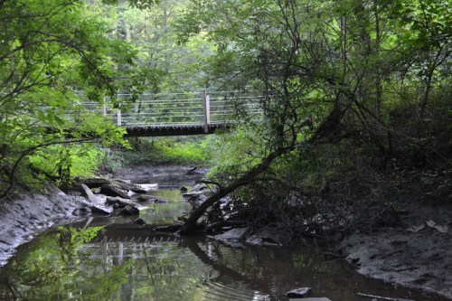 A serene creek surrounded by lush greenery, with a wooden bridge crossing over it in the background.