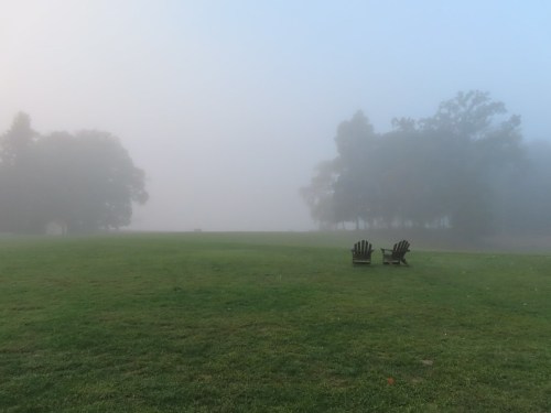 Two empty chairs sit on a grassy field shrouded in thick fog, with trees faintly visible in the background.