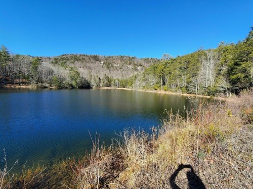 A serene lake surrounded by trees and mountains under a clear blue sky, with a shadow in the foreground.