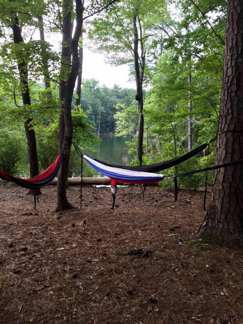 Two colorful hammocks are strung between trees by a calm lake, surrounded by lush greenery.