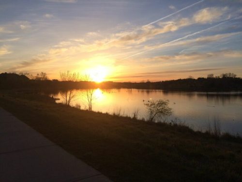 A serene sunset over a calm lake, with silhouettes of trees and birds in the water, and soft clouds in the sky.