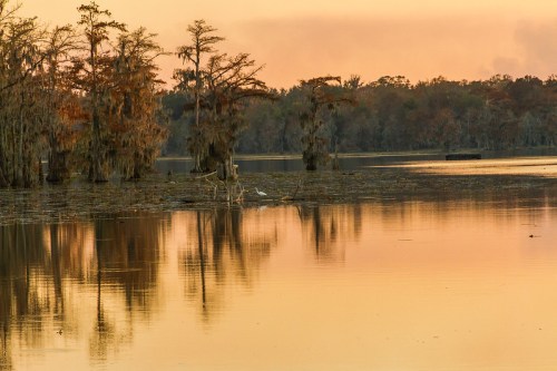 A serene sunset over a calm lake, with cypress trees and reflections in the water.
