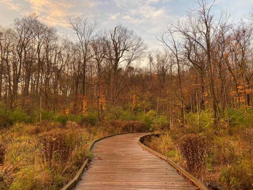 A winding wooden path through a forest with autumn foliage and bare trees under a colorful sky.