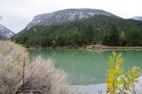 A serene lake surrounded by green trees and mountains, with a hint of autumn foliage in the foreground.