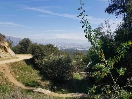 A scenic view of a winding trail surrounded by greenery, with a city skyline and mountains in the background.