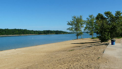 A serene beach scene with sandy shore, calm water, and trees under a clear blue sky.