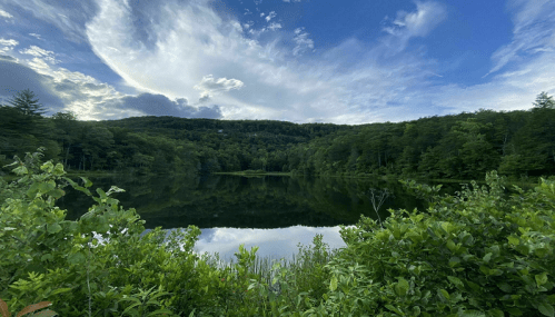 A serene lake surrounded by lush greenery and trees, reflecting a cloudy sky and distant hills.