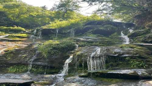 A serene waterfall cascading over moss-covered rocks, surrounded by lush greenery and trees.