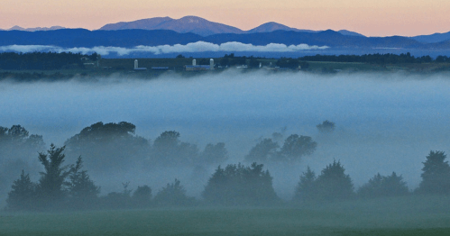 A misty landscape with trees in the foreground and mountains in the background, bathed in soft morning light.