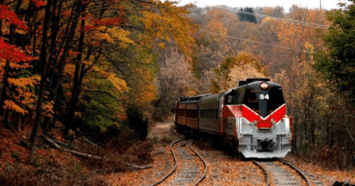 A vintage train travels along a winding track surrounded by vibrant autumn foliage.