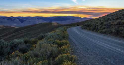 A winding gravel road curves through rolling hills at sunset, with vibrant colors in the sky and wildflowers along the path.