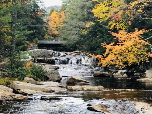 A serene river flows through a forest with autumn foliage, featuring rocks and a small waterfall under a bridge.