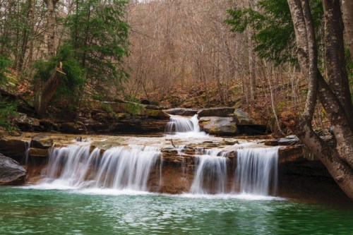 A serene waterfall cascades over rocks into a tranquil green pool, surrounded by bare trees and lush greenery.