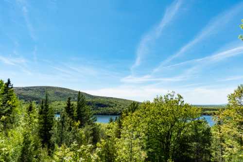 A scenic view of a lake surrounded by lush green trees and rolling hills under a clear blue sky.