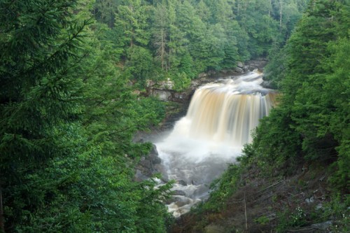 A cascading waterfall surrounded by lush green trees and rocky terrain, creating a serene natural landscape.