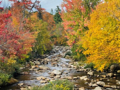 A serene stream flows through a vibrant autumn landscape with colorful trees and scattered rocks.