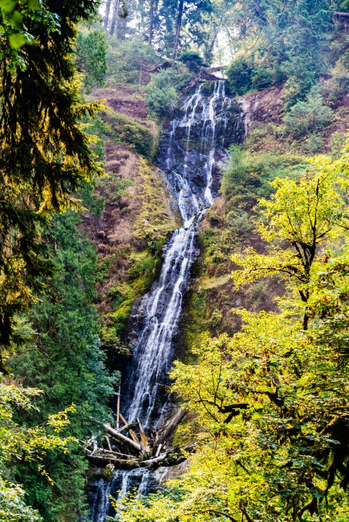 A serene waterfall cascading down a rocky cliff, surrounded by lush green trees and foliage.