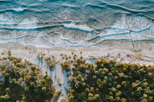 Aerial view of a sandy beach with waves, palm trees, and shadows cast by the trees on the shore.