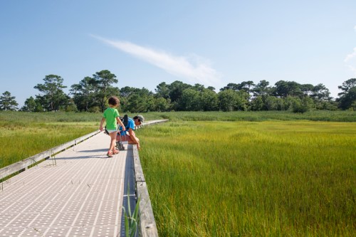 Two children explore a boardwalk through a lush green marsh, surrounded by trees and a clear blue sky.