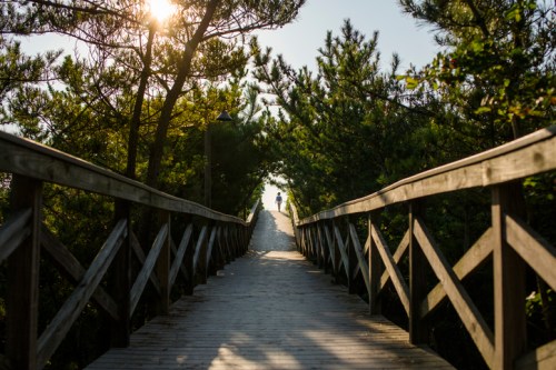 A wooden walkway leads through trees towards a bright, sunlit opening in the distance.