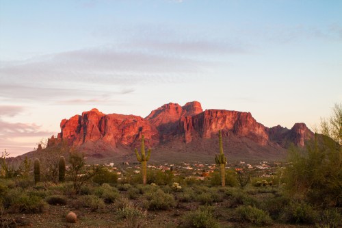 Sunset over rugged red mountains with cacti and desert vegetation in the foreground. Soft clouds in a colorful sky.