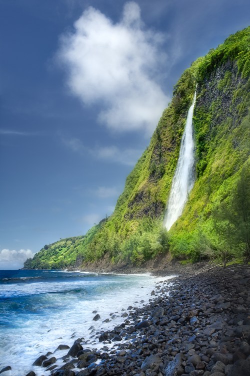 A stunning waterfall cascades down a lush green cliff beside a rocky beach under a bright blue sky.