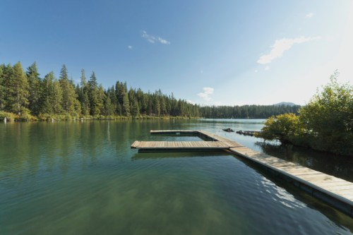 A serene lake surrounded by trees, featuring wooden docks extending into the calm water under a clear blue sky.