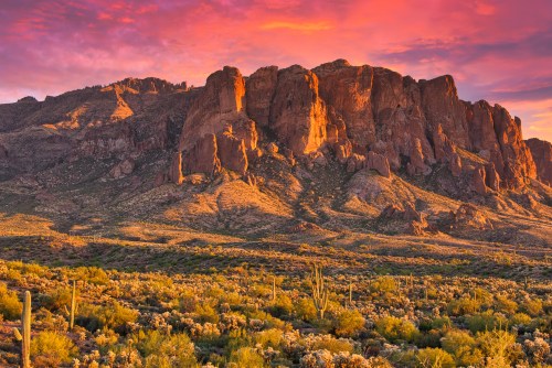 Vibrant sunset over rugged mountains, with desert flora in the foreground and colorful clouds in the sky.