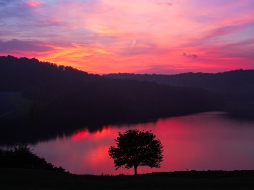 A vibrant sunset reflects on a calm lake, with a solitary tree silhouetted against the colorful sky.