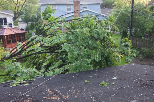 A large tree branch lies on a roof, with power lines nearby and a backyard visible in the background.