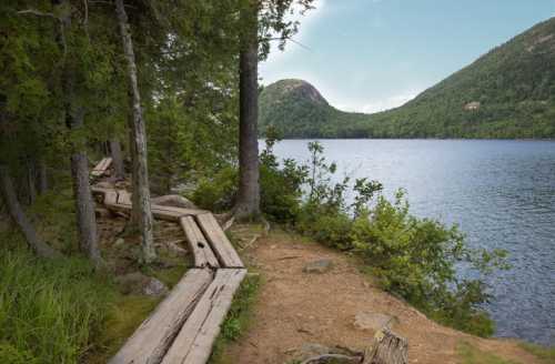 A serene lakeside scene with wooden pathways, surrounded by trees and mountains under a clear blue sky.