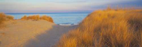 A serene beach scene with golden grass dunes leading to calm blue waters under a pastel sky.