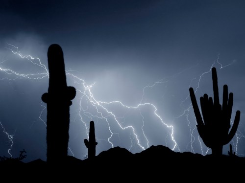 Silhouettes of cacti against a dramatic sky illuminated by lightning during a storm.