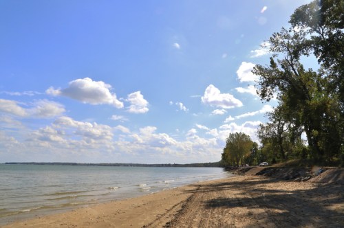 A serene beach scene with gentle waves, sandy shore, and trees under a bright blue sky with fluffy clouds.