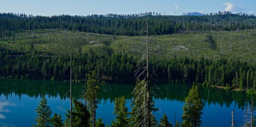 A serene lake surrounded by lush green forests and distant mountains under a clear blue sky.