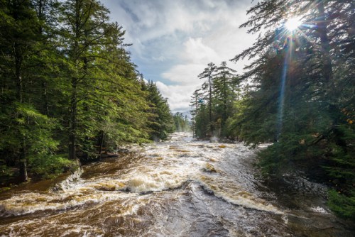 A rushing river flows through a lush forest, with sunlight filtering through the trees and clouds above.
